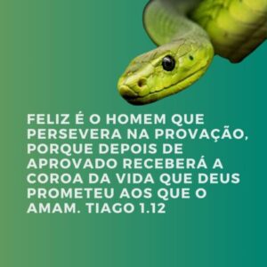 Versículos Sobre a Tentação