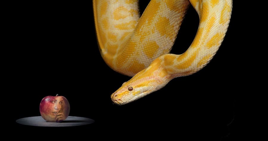 Versículos Sobre os Desejos